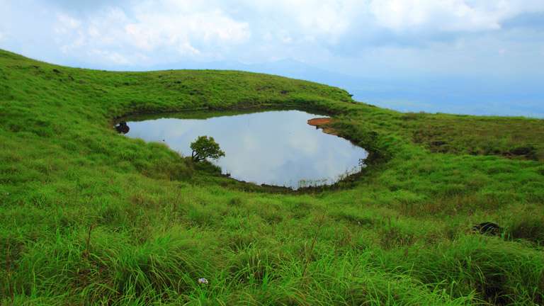 Wayanad